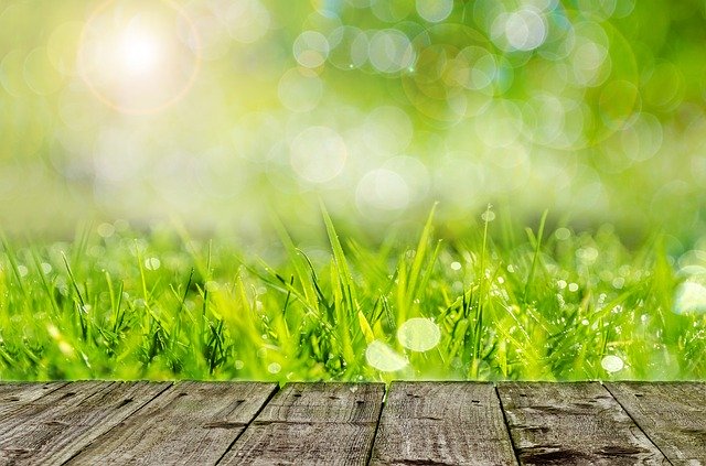 grass-decking